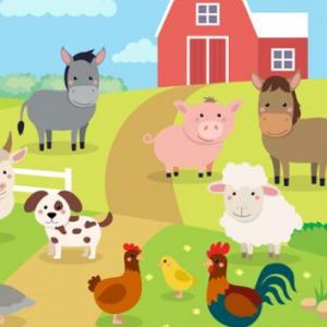 Los animales
