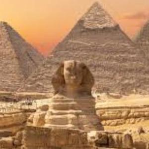 Organización de Egipto 