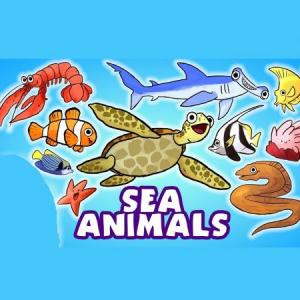 SEA ANIMALS