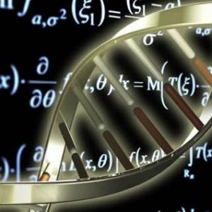 Trivias biologia y matematica