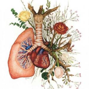 trivia de biologia
