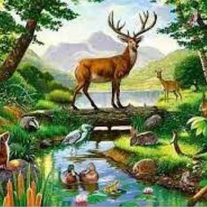 REPRODUCCIÓN DE LOS SERES VIVOS 