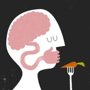 Los Transtornos de conducta alimenticios