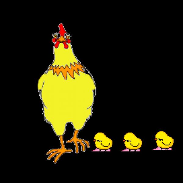 lkjhgk
