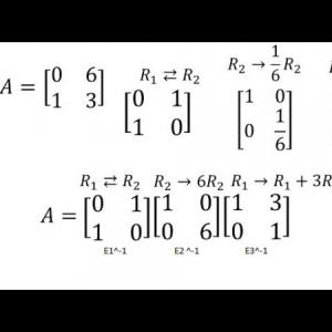 Matrices