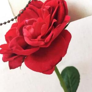 Yalle&Ñañi Trivia