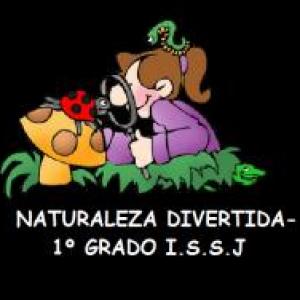 Imagen de portada del videojuego educativo: NATURALEZA DIVERTIDA, de la temática Ciencias