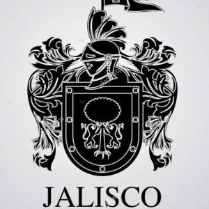 DESAPARECIDOS EN JALISCO