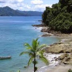 Caracteristicas de las regiones naturales de Colombia
