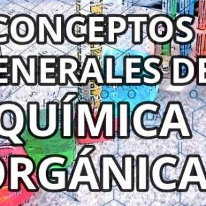 ENSAYO