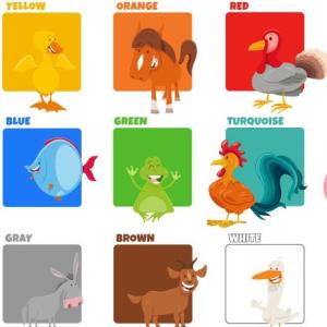 LOS ANIMALES Y SUS COLORES