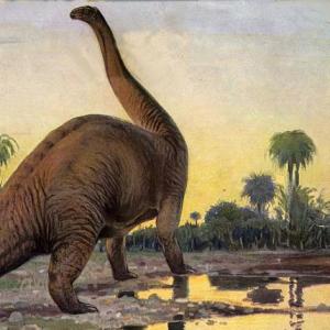 MEMOTEST De DINOSAURIOS