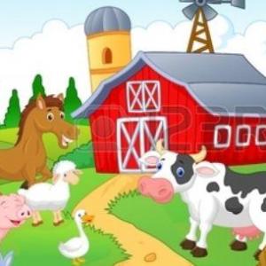 Portada del juego FARM ANIMALS – Idiomas
