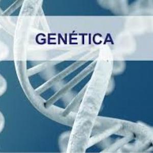 Generalidades Genética