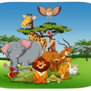 VERTEBRATES AND INVERTEBRATES