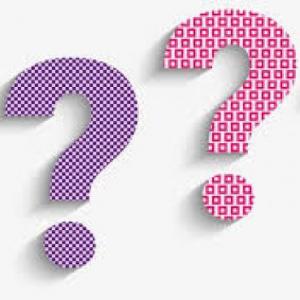 Portada del juego PAST SIMPLE QUESTIONS – Idiomas
