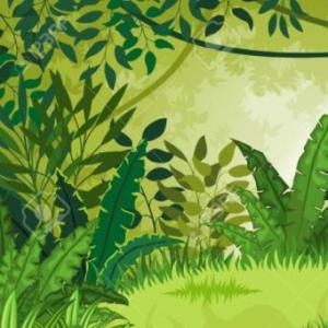 Buscamos los animales de la selva en inglés