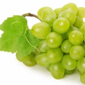 EL MUNDO DE LAS FRUTAS