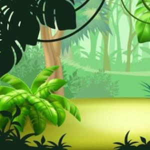 NOS DIVERTIMOS CON LOS ANIMALES DE LA SELVA