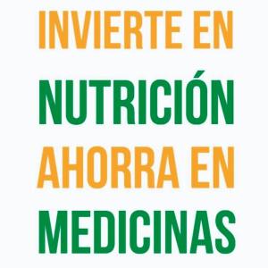 FUNDAMENTOS DE UNA ALIMENTACIÓN SALUDABLE  (Eligiendo lo mejor para nuestro cuerpo).