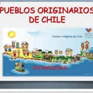 Pueblos Originarios