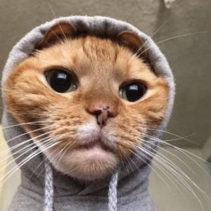 Portada del juego mood – Artes