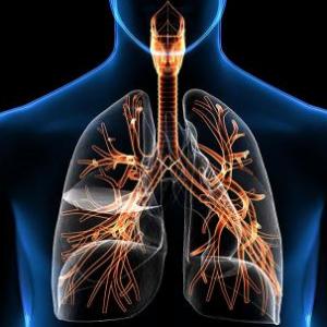 Enfermedades del sistema respiratorio