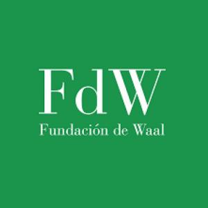 Agresiones al bebé por nacer