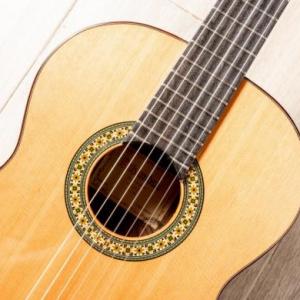Instrumentos musicales de la comunidad