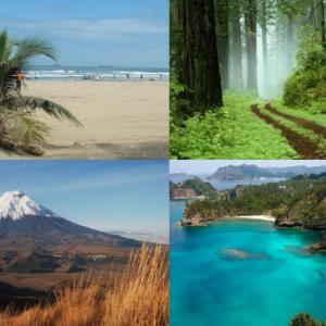 Descubre las Regiones Naturales de tu país.