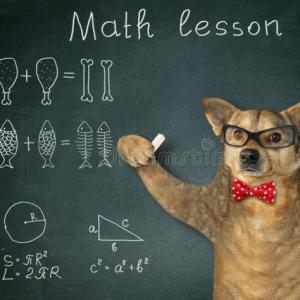 Trivia Matemática