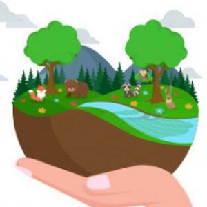 Medio Ambiente
