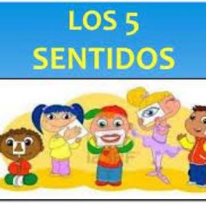 LOS SENTIDOS
