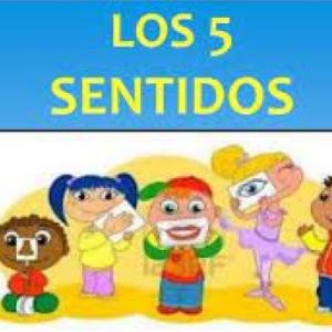SIGAMOS JGANDO CON LOS SENTIDOS