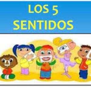 RELACIONANDO LOS SENTIDOS