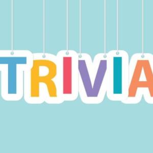 TRIVIA CANTIDADES