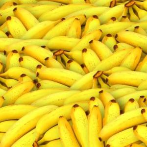 THE FRUITS