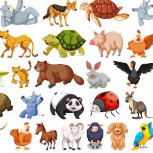 animales