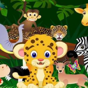 Animals