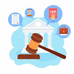 ¿Qué aprendimos en derecho?
