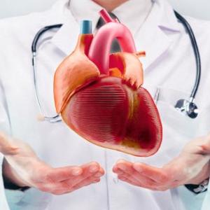 Portada del juego Es una especialidad de la medicina. – Salud
