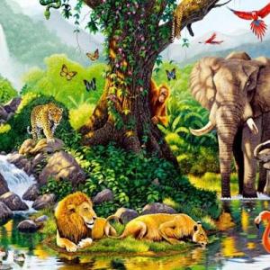 Imagen de portada del videojuego educativo: Juguemos con los ecosistemas , de la temática Biología