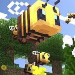 MaincrafThay