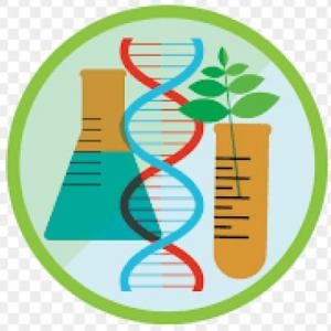 Imagen de portada del videojuego educativo: Biotrivia, de la temática Ciencias