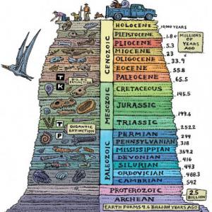 Paleontología