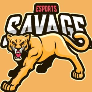 GRUPO 5  -  ANIMALES SALVAJES