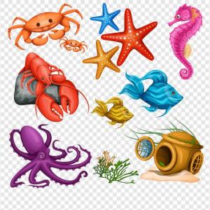 Imagen de portada del videojuego educativo: animales marino, de la temática Ciencias