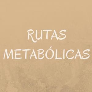 rutas metabólicas pares