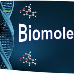 Biomoleculandia
