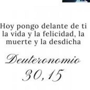 Consecuencias de decirle no o si a la vida